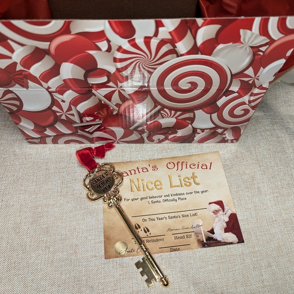 New frost pips elf on the shelf blue eyes boy & girl baby + nice list + key - Picture 4 of 6